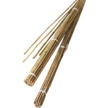 Bamboe Stok 2.1m (10 Stuks)